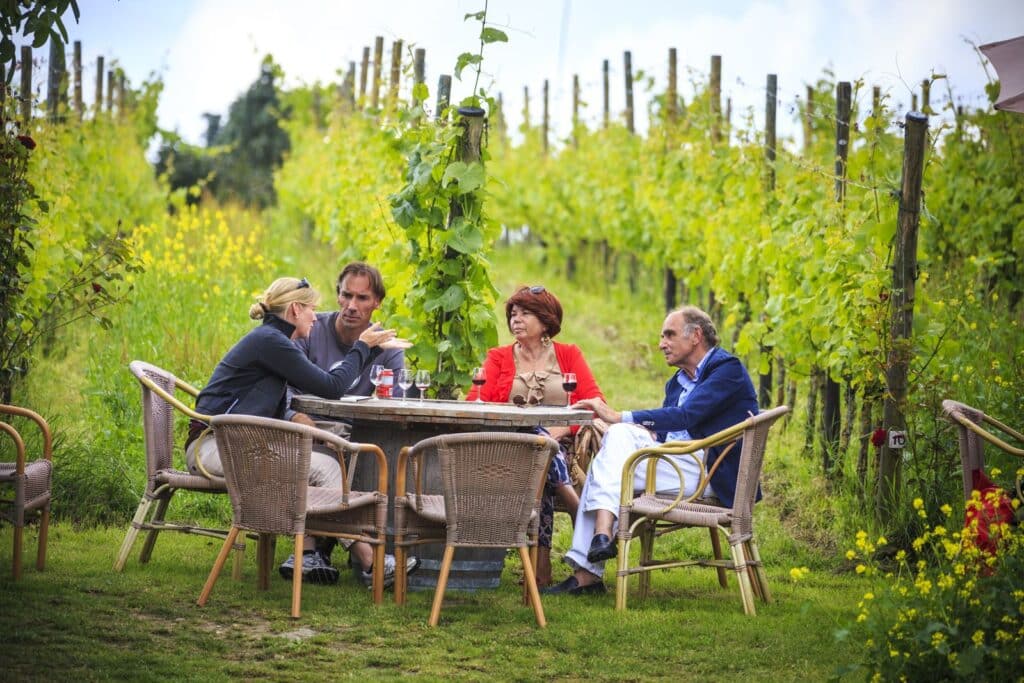 CycleSummit 2018 in Arnhem – vineyard in Groesbeek