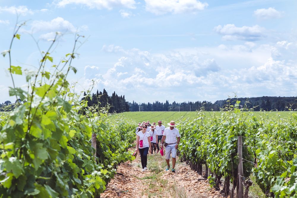 CycleSummit 2021 in Toulouse – vineyards