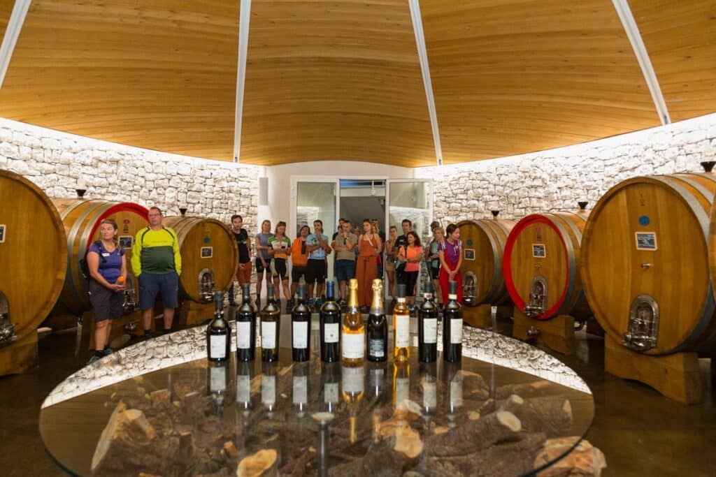 CycleSummit 2023 in Riolo Terme – Tenuta Masselina winery