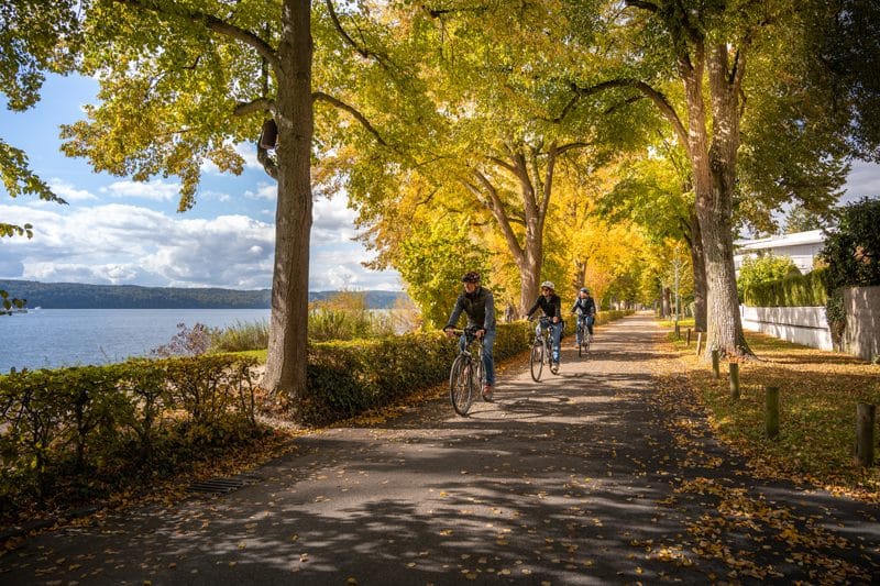 Cycling along the lake near Überlingen