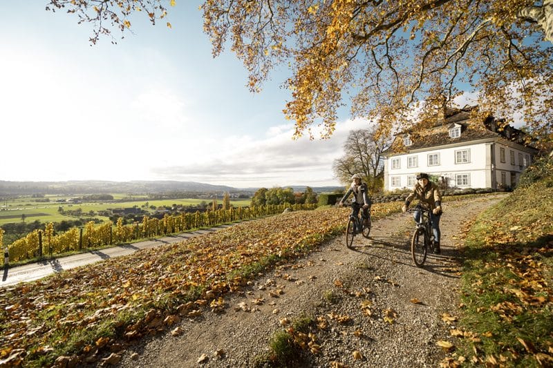 Cycling through the vineyards of Thurgau