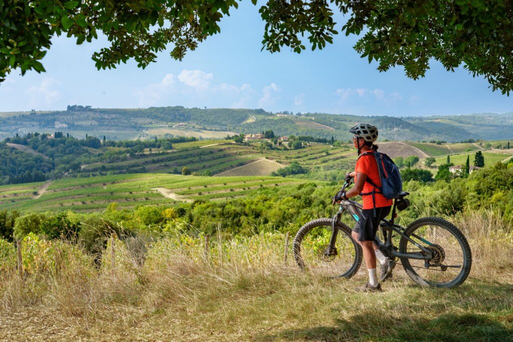 Allibert Trekking (France) – cycling travel impression