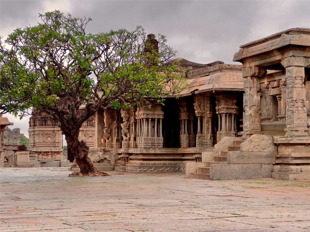 Alora Experiences (India) – cycling travel impression