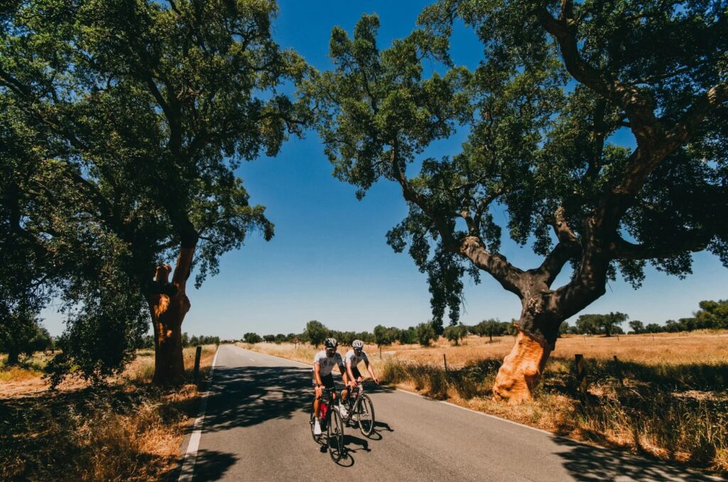 Bike Tours Portugal (Portugal) – cycling travel impression