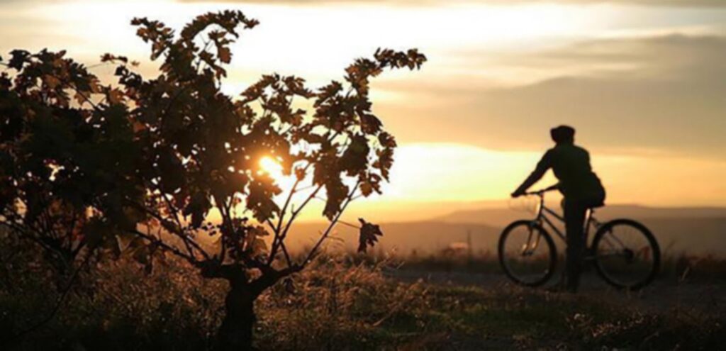 Bravo Bike (Spain) – cycling travel impression