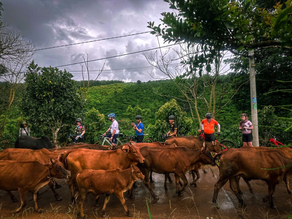 Mr Biker Saigon (Vietnam) – cycling travel impression