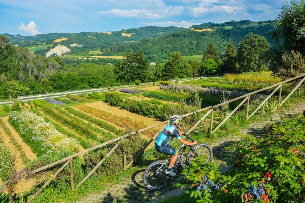 Riolo Terme Cycling Hub (Italy) – cycling travel impression