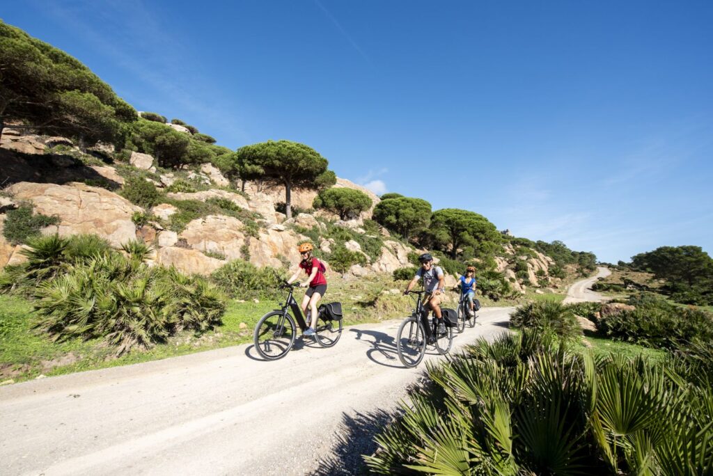 Saddle Skedaddle (United Kingdom) – cycling travel impression