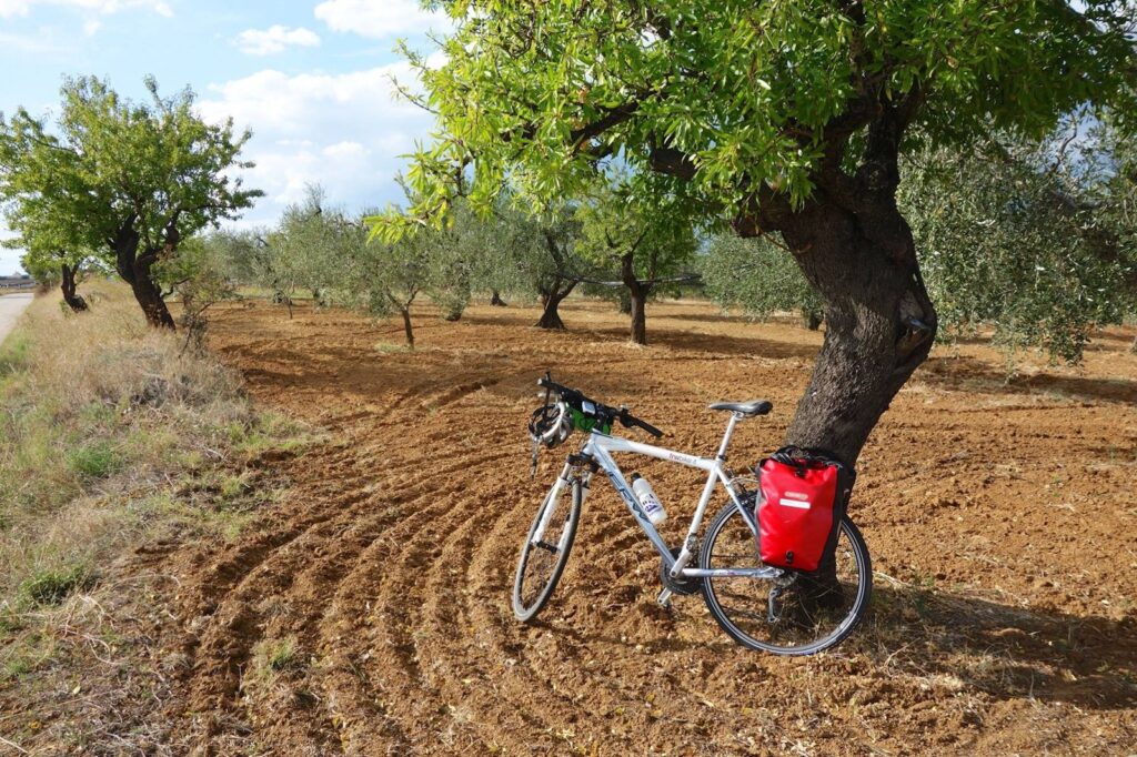 TRAP Reizen (The Netherlands) – cycling travel impression