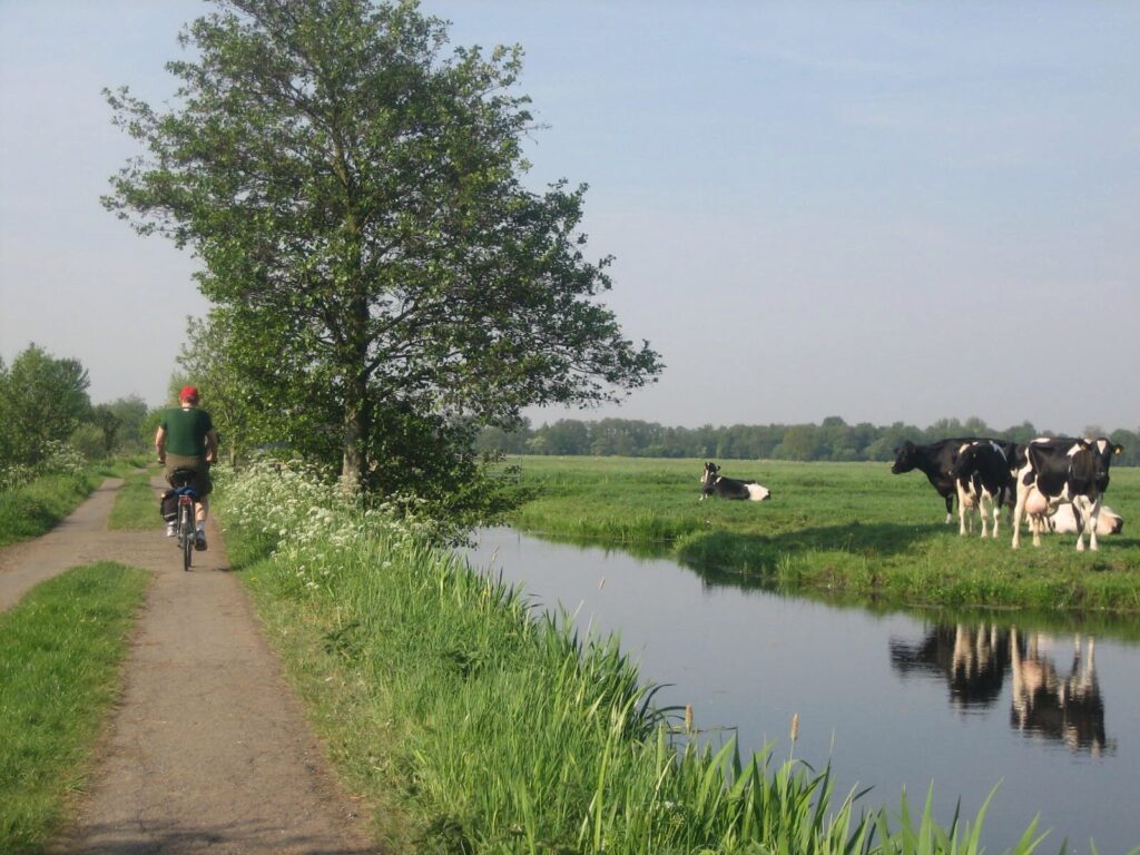 Tulip Cycling (The Netherlands) – cycling travel impression