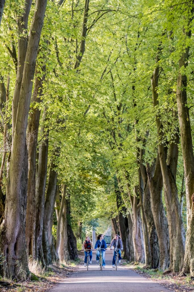 VisitBrabant (The Netherlands) – cycling travel impression