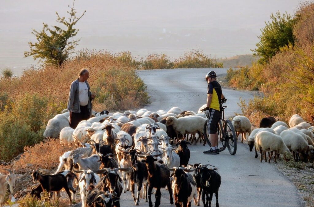 Zbulo! Albania & Beyond (Albania) – cycling travel impression